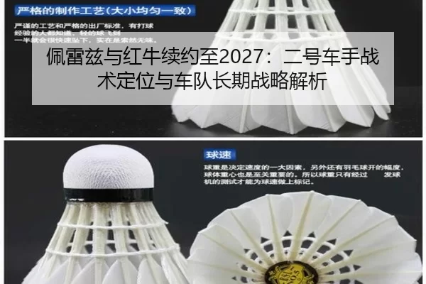 pei-lei-zi-yu-hong-niu-xu-yue-zhi-er-hao-che-shou-zhan-shu-ding-wei-yu-che-dui-chang-qi-zhan-lve-jie-xi-2-433.jpg