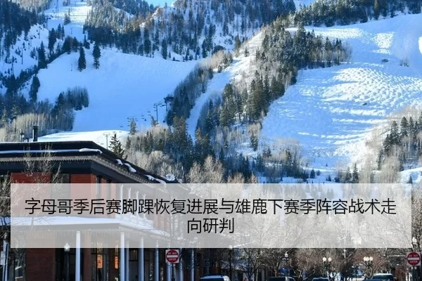 zi-mu-ge-ji-hou-sai-jiao-huai-hui-fu-jin-zhan-yu-xiong-lu-xia-sai-ji-zhen-rong-zhan-shu-zou-xiang-yan-pan-2-486.jpg