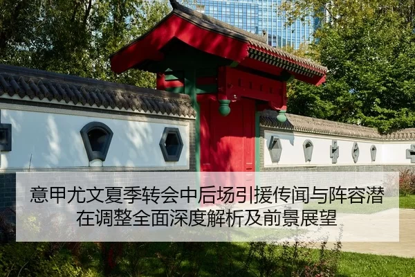 意甲尤文夏季转会中后场引援传闻与阵容潜在调整全面深度解析及前景展望